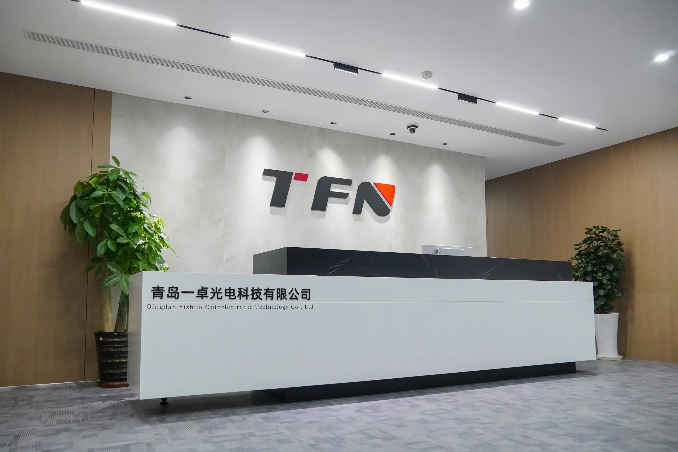 TFN Company environment